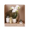Botanical Giftset large - Travertine Charm Botanical Giftset large - Travertine Charm