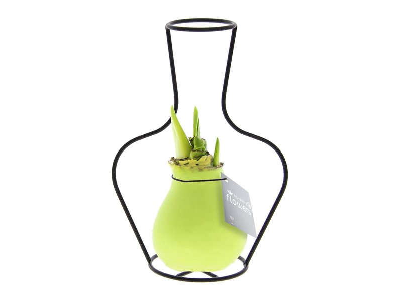 No Water Flowers® - Formz classic No Water Flowers® - Formz classic