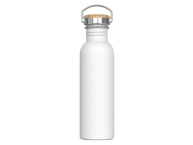 Waterfles Ashton 750ml