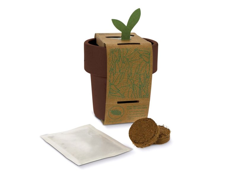 Hot-but-cool beker met basilicum zaadjes