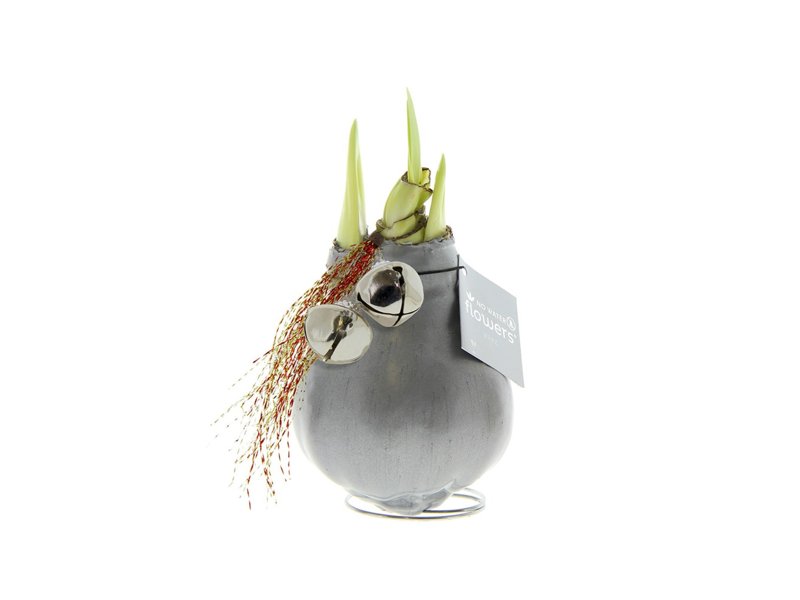 No Water Flowers® - Jingle Bellz No Water Flowers® - Jingle Bellz