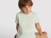 Roly t-shirt Stafford Roly t-shirt Stafford
