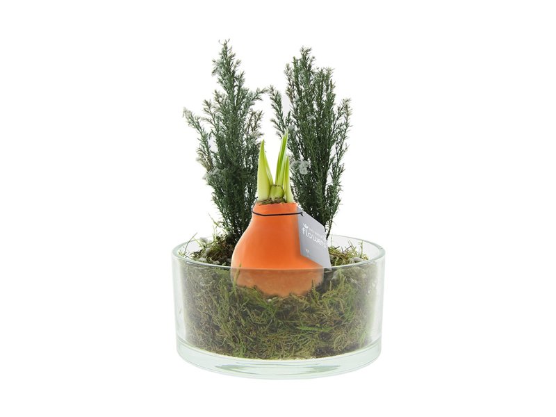 No Water Flowers® - Christmas glass elegance No Water Flowers® - Christmas glass elegance