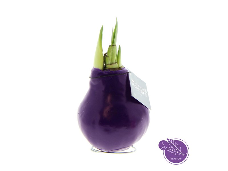 No Water Flowers® - Waxz® Parfumz No Water Flowers® - Waxz® Parfumz