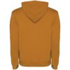 Roly hoodie Urban voor heren