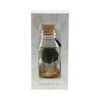 Marimo moss balls - bottle small Marimo moss balls - bottle small