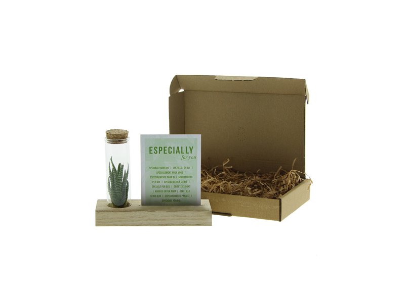 Tiny Treasurez® - Single tube & wood in brievenbusdoosje