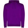 Roly hoodie Urban voor heren