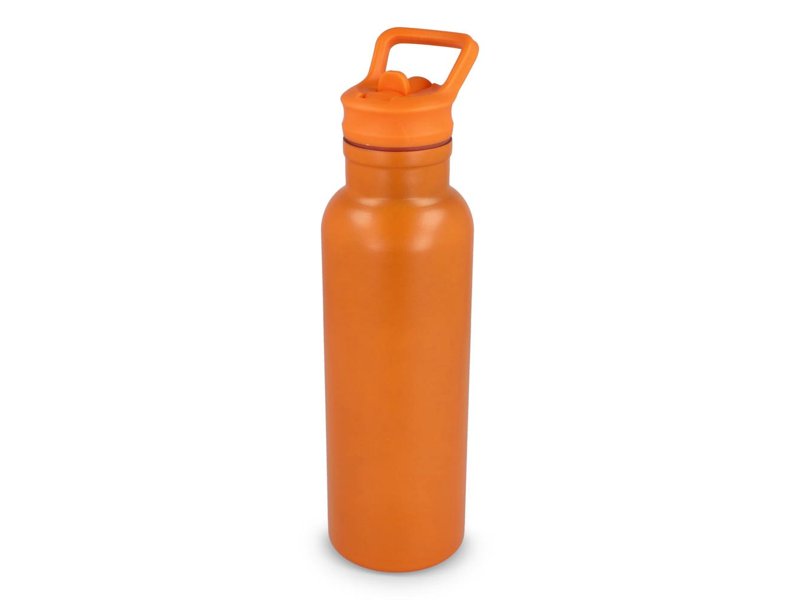 Darion thermo fles 500ml Darion thermo fles 500ml