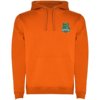 Roly hoodie Urban voor heren