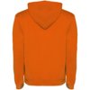 Roly hoodie Urban voor heren