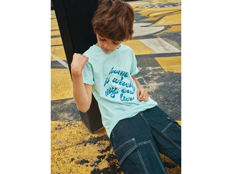 Iqoniq kinder t-shirt Koli Iqoniq kinder t-shirt Koli