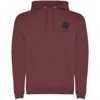 Roly hoodie Urban voor heren
