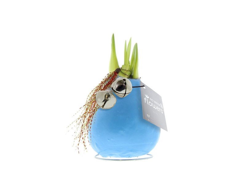 No Water Flowers® - Jingle Bellz No Water Flowers® - Jingle Bellz