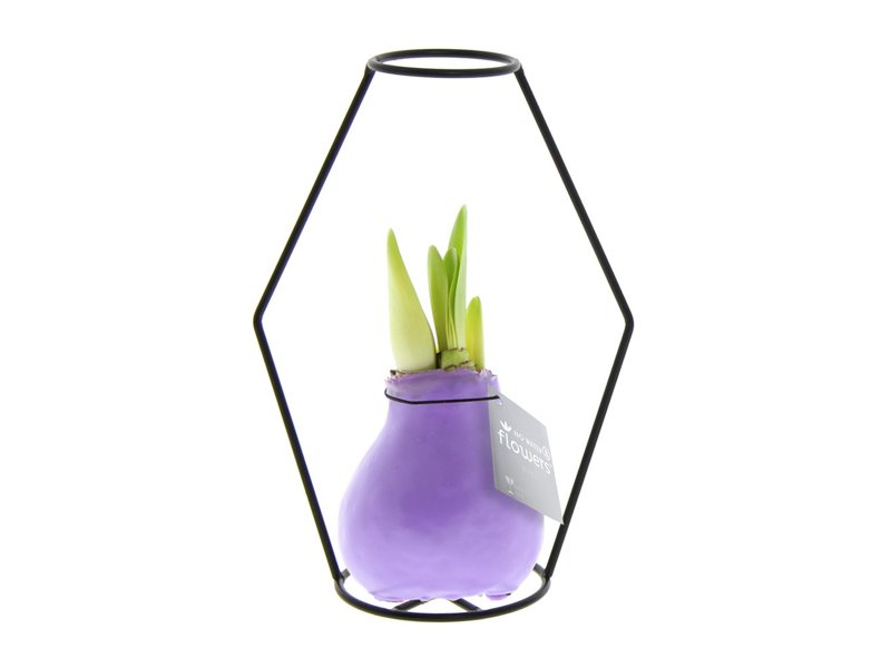 No Water Flowers® - Formz modern No Water Flowers® - Formz modern