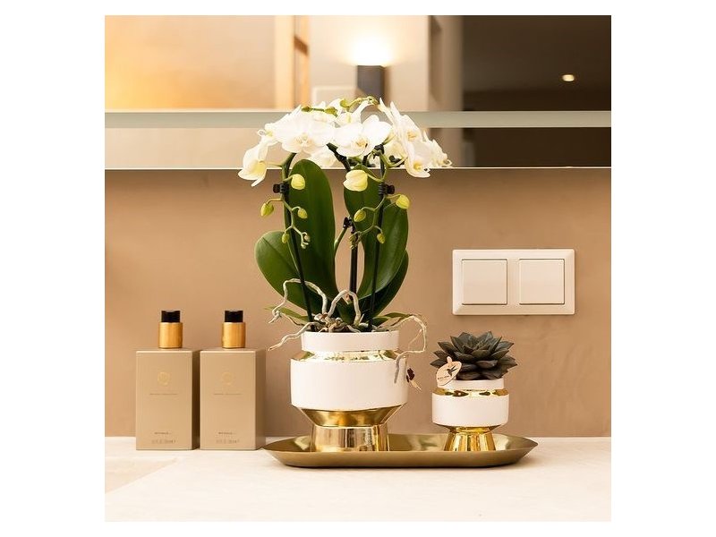 Botanical Giftset small - Luxury Gold Botanical Giftset small - Luxury Gold