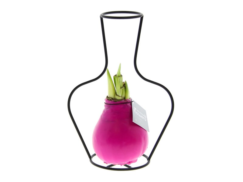 No Water Flowers® - Formz classic No Water Flowers® - Formz classic