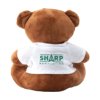 Billy Bear Normal Size knuffel
