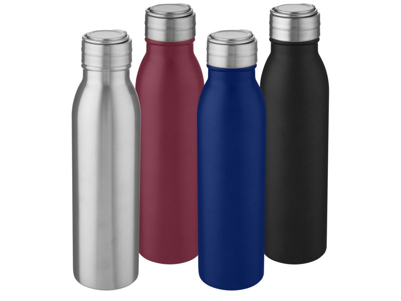 Harper 700 ml roestvrijstalen drinkfles met metalen lus Harper 700 ml roestvrijstalen drinkfles met metalen lus