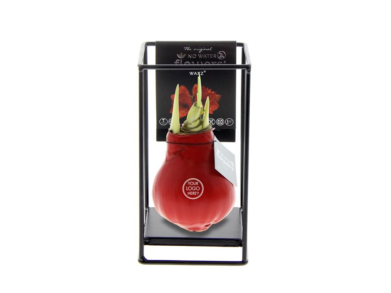 No Water Flowers® - Formz industrial No Water Flowers® - Formz industrial