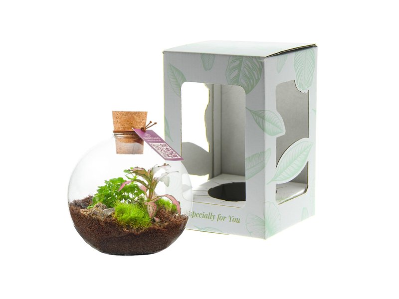 Wardians® ecosysteem - Bowl small