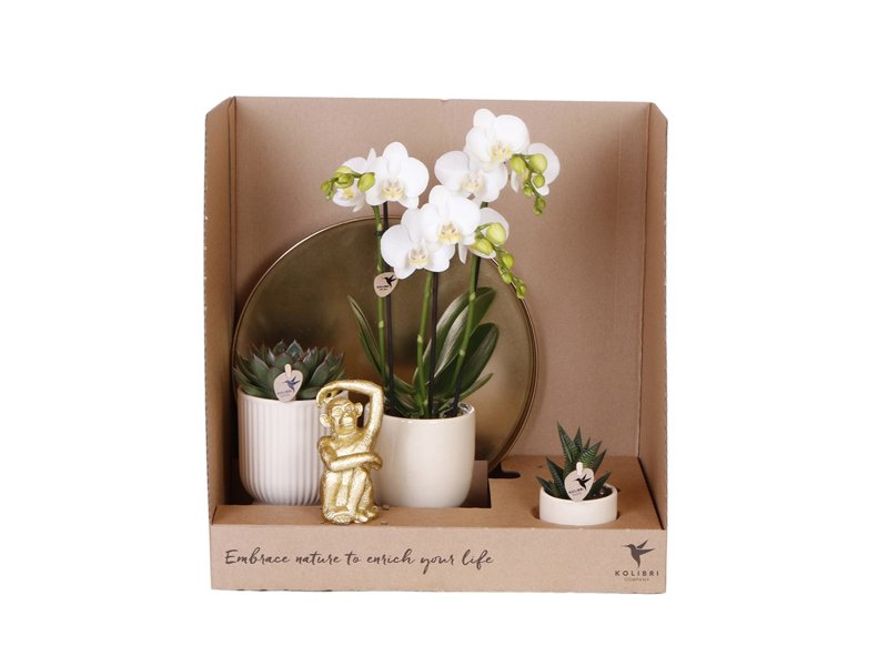 Botanical Giftset large - Travertine Charm Botanical Giftset large - Travertine Charm