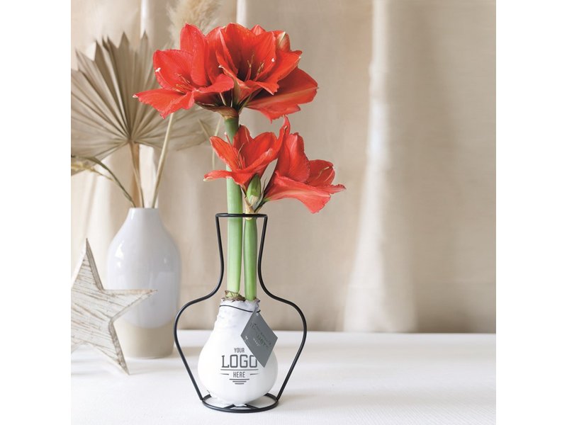 No Water Flowers® - Formz classic No Water Flowers® - Formz classic