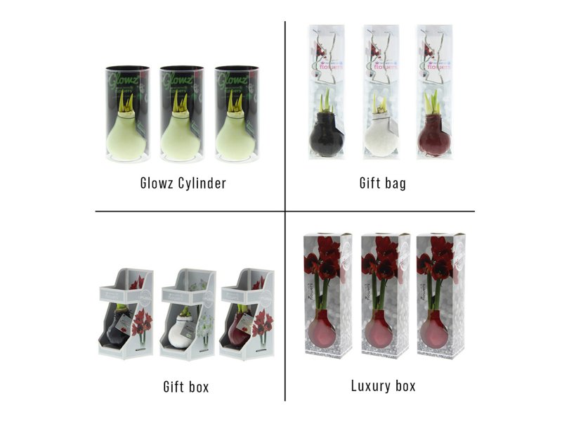 No Water Flowers® - Waxz® Glowz No Water Flowers® - Waxz® Glowz