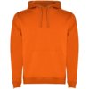 Roly hoodie Urban voor heren