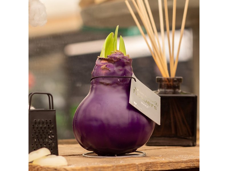 No Water Flowers® - Waxz® Parfumz No Water Flowers® - Waxz® Parfumz