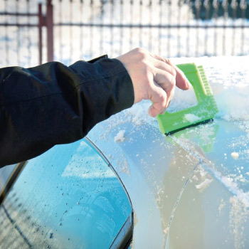 Premiums  IJskrabbers