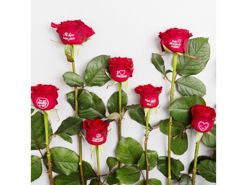 Message Printz Roos - Personaliseer Bloemrijk Jouw Boodschap