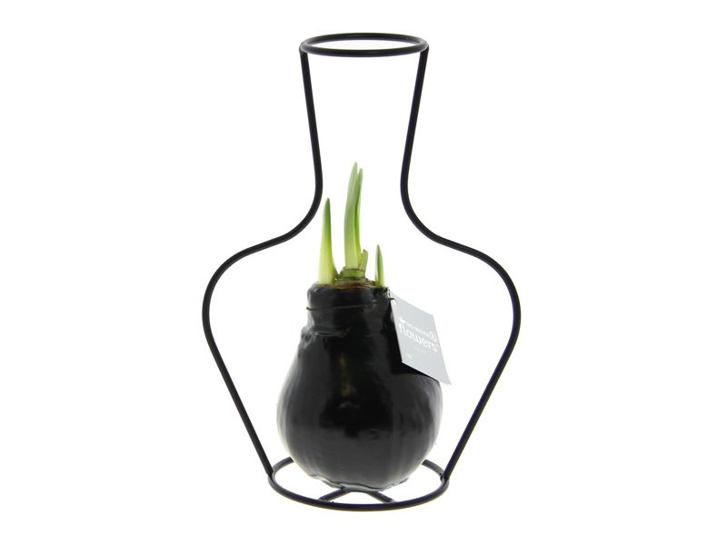 No Water Flowers® - Formz classic No Water Flowers® - Formz classic