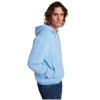 Roly hoodie Urban voor heren