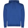 Roly hoodie Urban voor heren