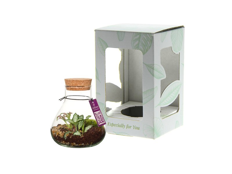 Wardians® ecosysteem - Erlenmeyer small