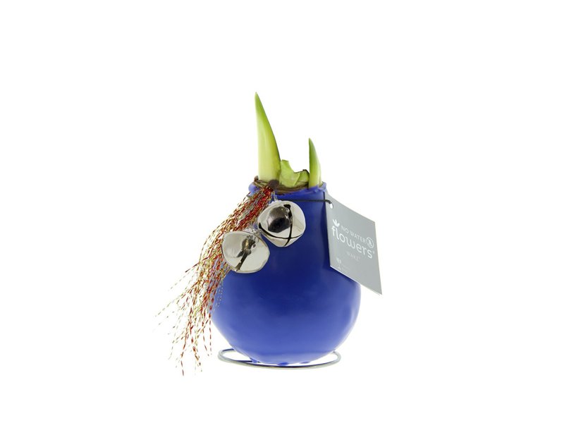 No Water Flowers® - Jingle Bellz No Water Flowers® - Jingle Bellz