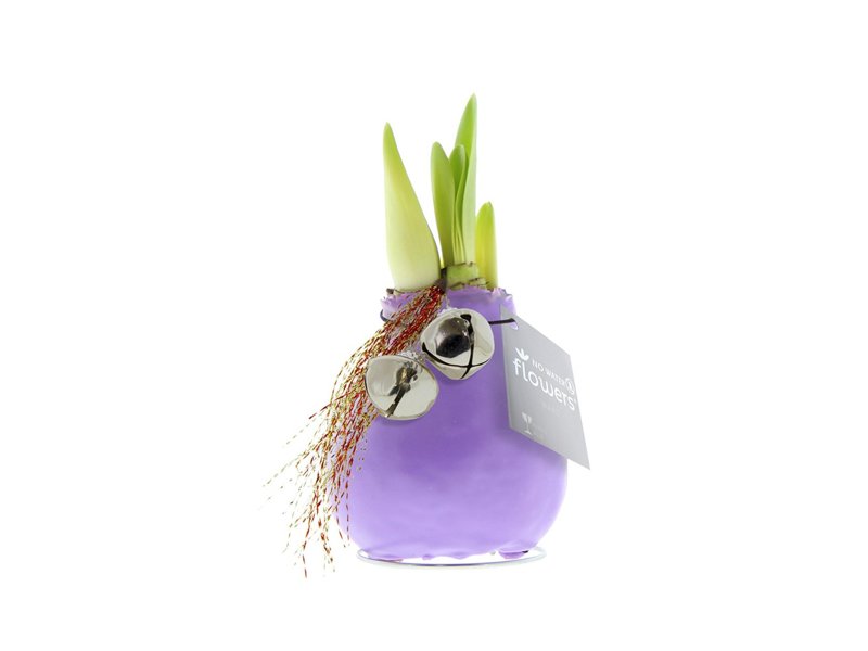 No Water Flowers® - Jingle Bellz No Water Flowers® - Jingle Bellz