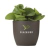 Coffee Flowerpot bloempot Coffee Flowerpot bloempot