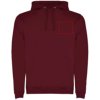 Roly hoodie Urban voor heren