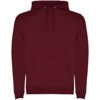 Roly hoodie Urban voor heren Roly hoodie Urban voor heren