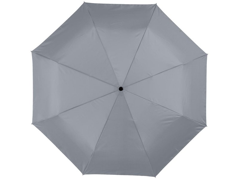 Alex 21,5'' opvouwbare automatische paraplu