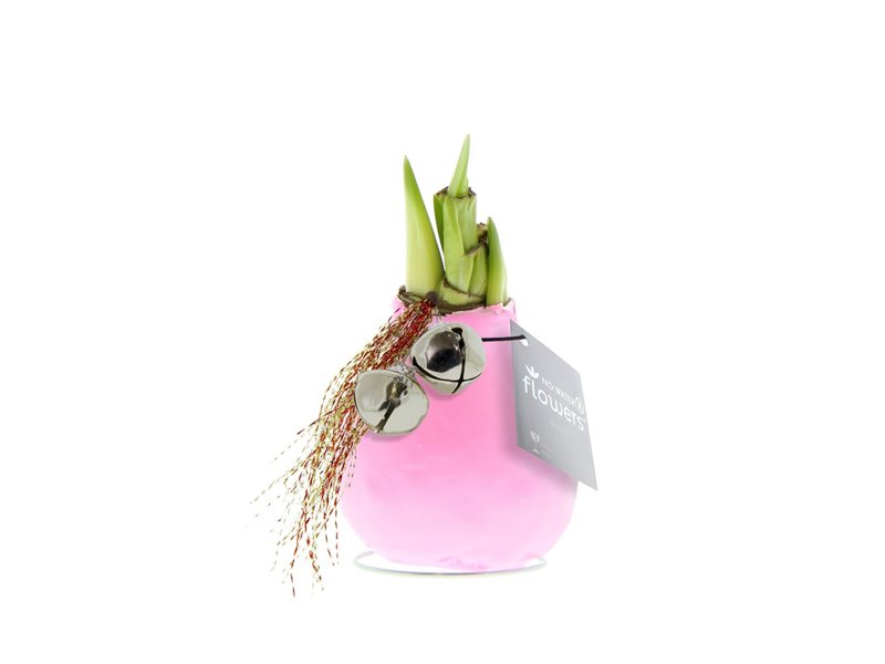 No Water Flowers® - Jingle Bellz No Water Flowers® - Jingle Bellz