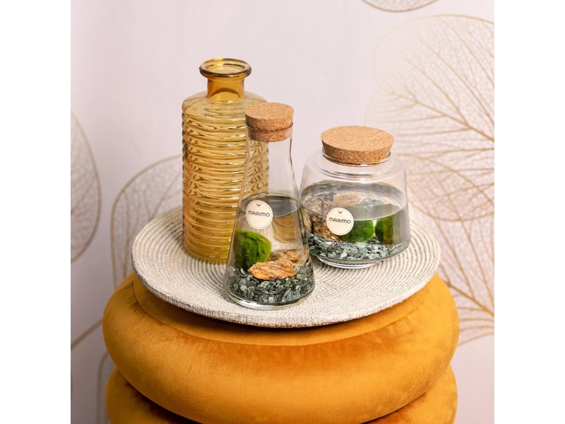 Marimo moss balls - octogoon