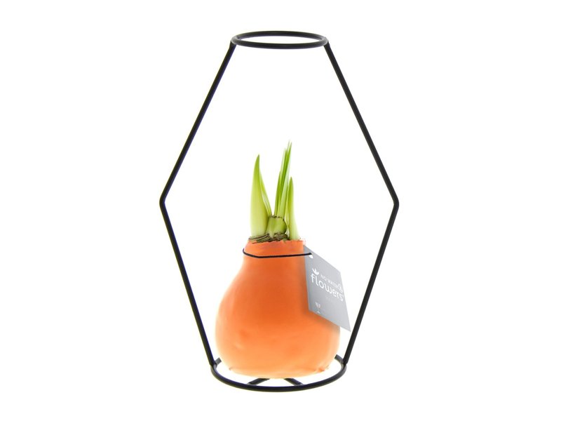 No Water Flowers® - Formz modern No Water Flowers® - Formz modern