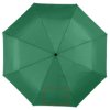 Alex 21,5'' opvouwbare automatische paraplu
