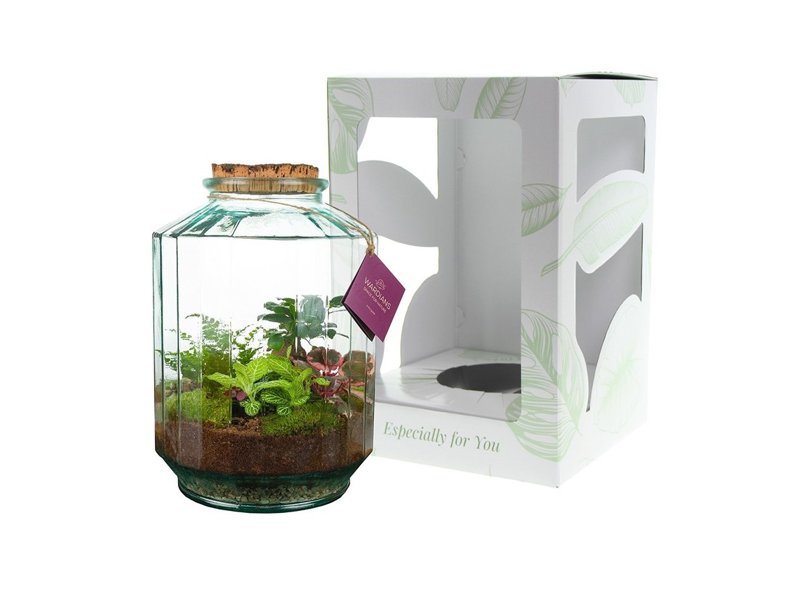 Wardians® ecosysteem - Stripe large