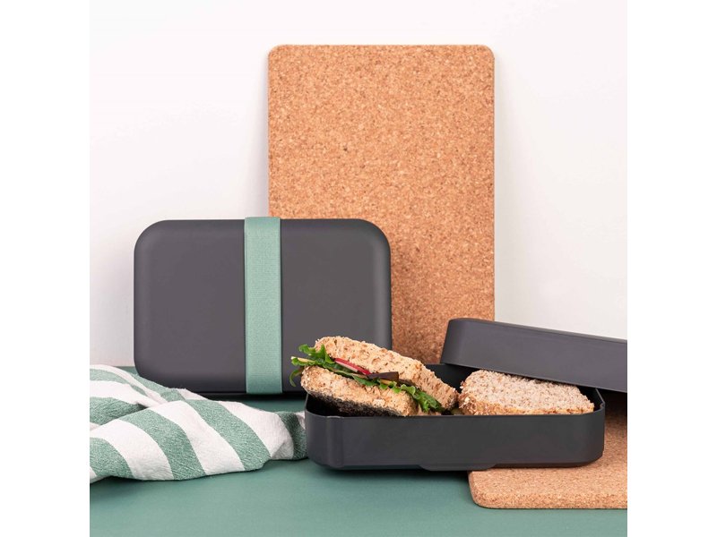 Amuse Zero Waste Lunchbox Amuse Zero Waste Lunchbox