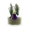 No Water Flowers® - Christmas glass elegance No Water Flowers® - Christmas glass elegance