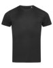 Stedman® - Sports-T Stedman® - Sports-T
